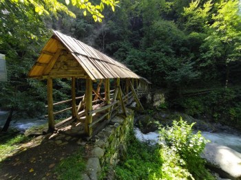 Деревянный 300х летний мост